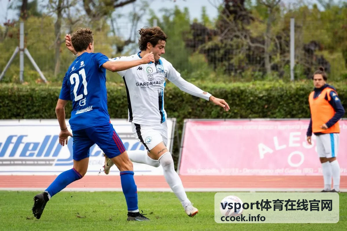 vsport体育在线官网 赛事攻略封面